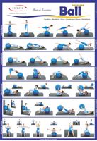 Imagem de Cartaz de Exercícios com Physicusball