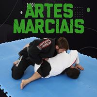 Imagem de categoria Artes Marciais 